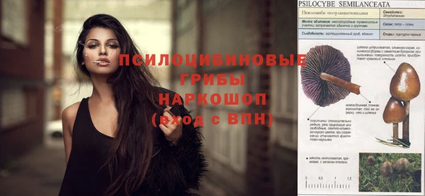 ГАЛЛЮЦИНОГЕННЫЕ ГРИБЫ Армянск