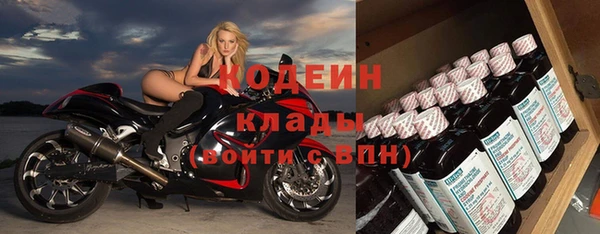 ПСИЛОЦИБИНОВЫЕ ГРИБЫ Рославль